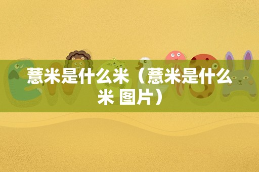 薏米是什么米（薏米是什么米 图片）