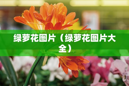 绿萝花图片（绿萝花图片大全）