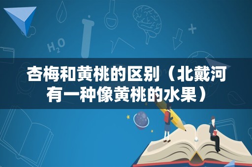 杏梅和黄桃的区别（北戴河有一种像黄桃的水果）