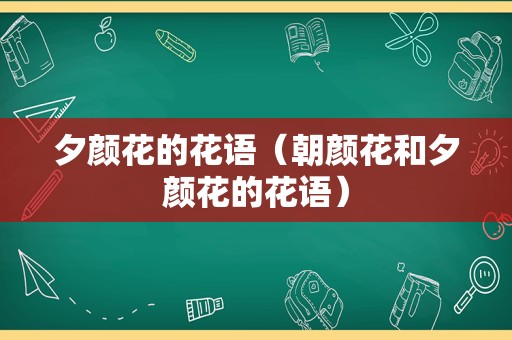 夕颜花的花语（朝颜花和夕颜花的花语）