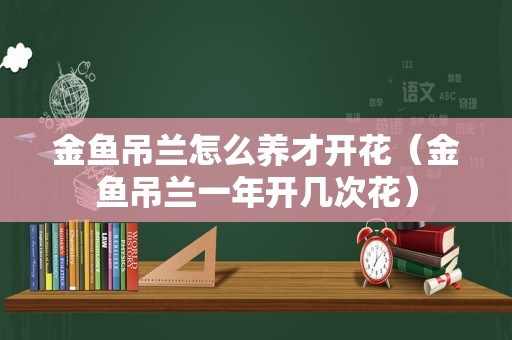 金鱼吊兰怎么养才开花（金鱼吊兰一年开几次花）