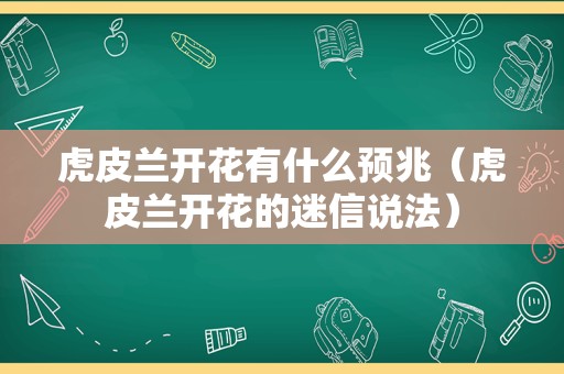 虎皮兰开花有什么预兆（虎皮兰开花的迷信说法）