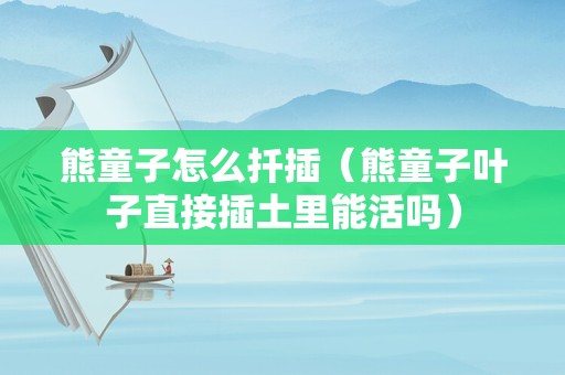 熊童子怎么扦插（熊童子叶子直接插土里能活吗）