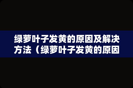 绿萝叶子发黄的原因及解决方法（绿萝叶子发黄的原因及解决方法视频）