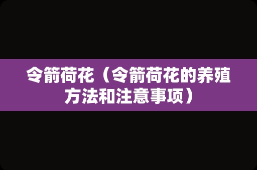 令箭荷花（令箭荷花的养殖方法和注意事项）