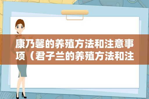 康乃馨的养殖方法和注意事项（君子兰的养殖方法和注意事项）