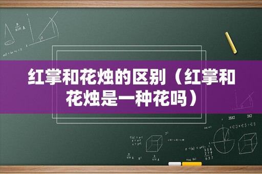 红掌和花烛的区别（红掌和花烛是一种花吗）