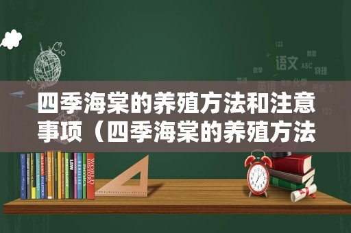 四季海棠的养殖方法和注意事项（四季海棠的养殖方法和注意事项图片）