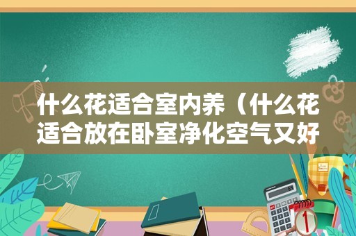 什么花适合室内养（什么花适合放在卧室净化空气又好养）