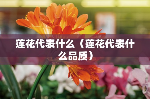 莲花代表什么（莲花代表什么品质）