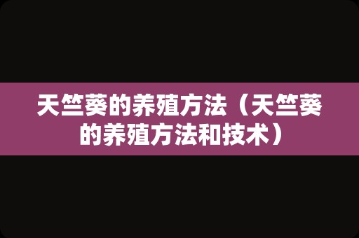 天竺葵的养殖方法（天竺葵的养殖方法和技术）