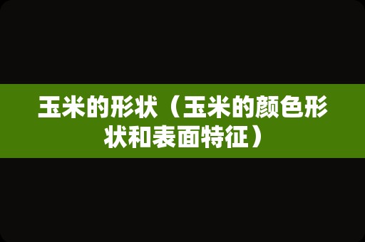 玉米的形状（玉米的颜色形状和表面特征）