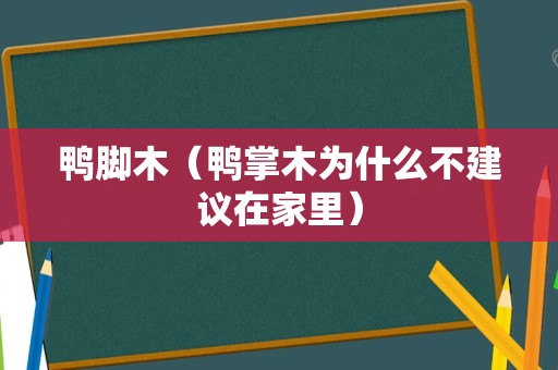 鸭脚木（鸭掌木为什么不建议在家里）