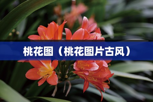 桃花图（桃花图片古风）