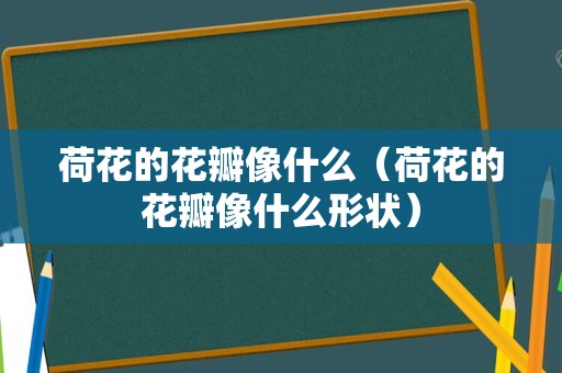 荷花的花瓣像什么（荷花的花瓣像什么形状）