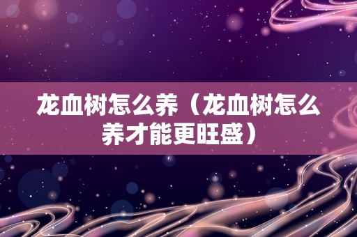 龙血树怎么养（龙血树怎么养才能更旺盛）