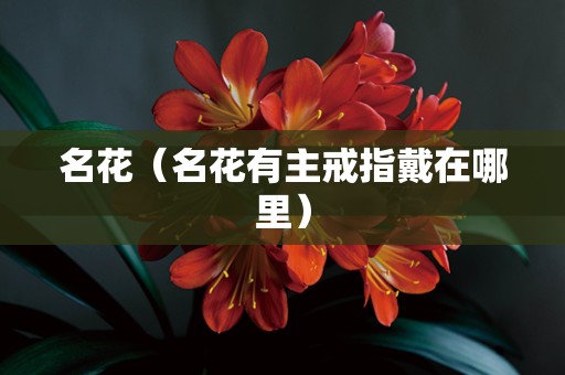 名花（名花有主戒指戴在哪里）