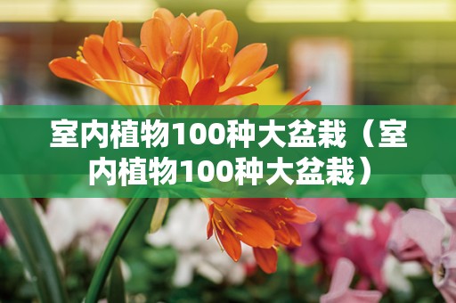 室内植物100种大盆栽（室内植物100种大盆栽）