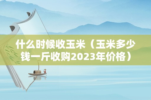 什么时候收玉米（玉米多少钱一斤收购2023年价格）