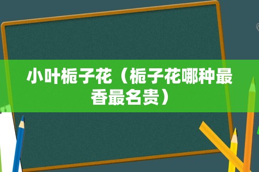 小叶栀子花（栀子花哪种最香最名贵）