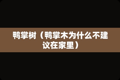 鸭掌树（鸭掌木为什么不建议在家里）