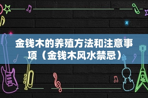 金钱木的养殖方法和注意事项（金钱木风水禁忌）