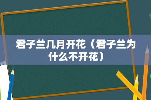 君子兰几月开花（君子兰为什么不开花）