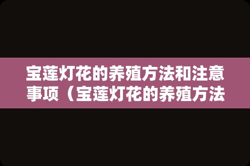 宝莲灯花的养殖方法和注意事项（宝莲灯花的养殖方法和注意事项花卉测湿计）