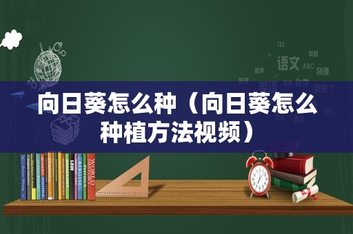 向日葵怎么种（向日葵怎么种植方法视频）