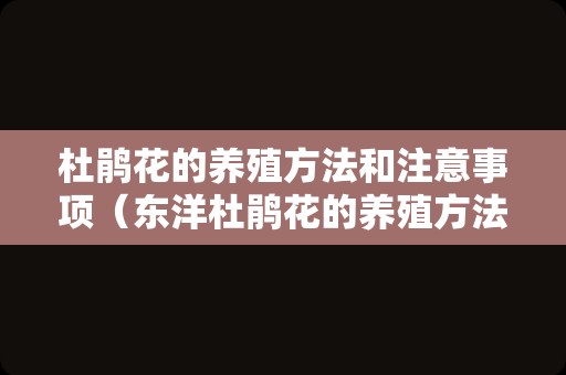 杜鹃花的养殖方法和注意事项（东洋杜鹃花的养殖方法和注意事项）