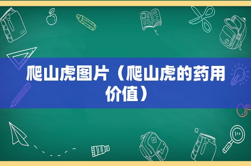 爬山虎图片（爬山虎的药用价值）