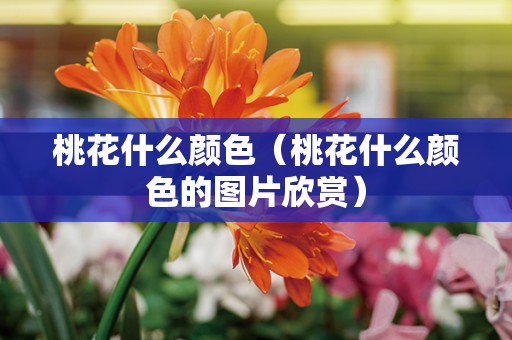 桃花什么颜色（桃花什么颜色的图片欣赏）