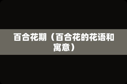 百合花期（百合花的花语和寓意）