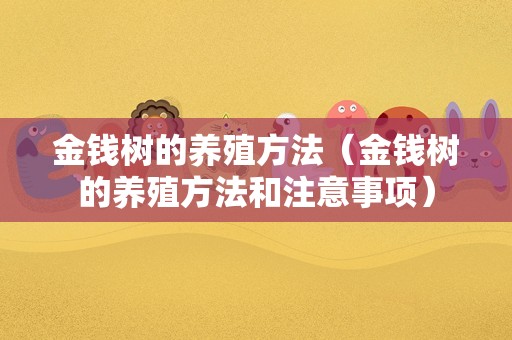 金钱树的养殖方法（金钱树的养殖方法和注意事项）