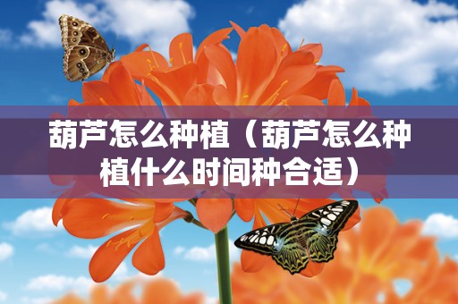 葫芦怎么种植（葫芦怎么种植什么时间种合适）