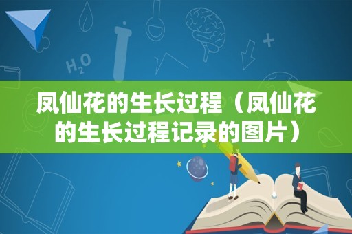 凤仙花的生长过程（凤仙花的生长过程记录的图片）