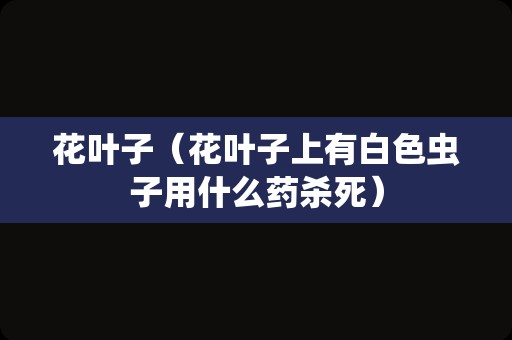 花叶子（花叶子上有白色虫子用什么药杀死）