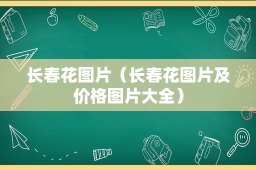 长春花图片（长春花图片及价格图片大全）