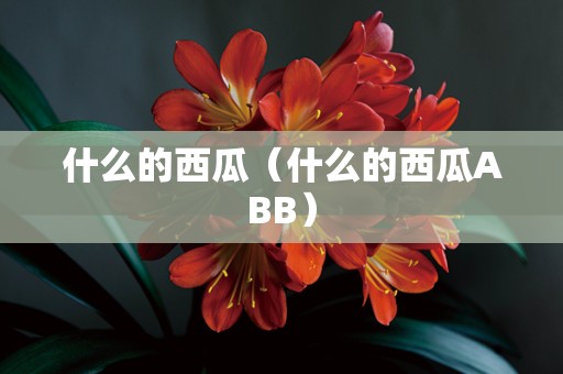 什么的西瓜（什么的西瓜ABB）