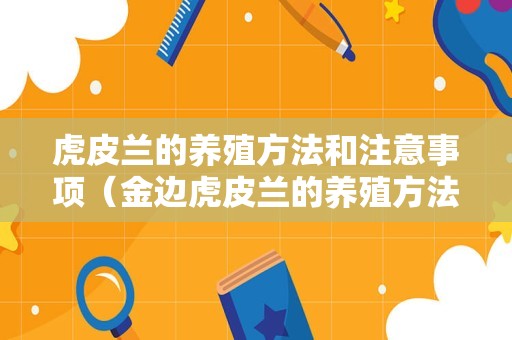 虎皮兰的养殖方法和注意事项（金边虎皮兰的养殖方法和注意事项）