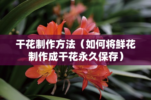 干花制作方法（如何将鲜花制作成干花永久保存）