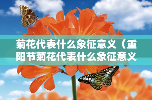 菊花代表什么象征意义（重阳节菊花代表什么象征意义）