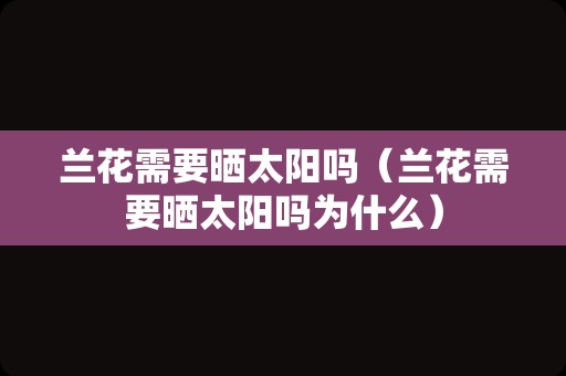 兰花需要晒太阳吗（兰花需要晒太阳吗为什么）