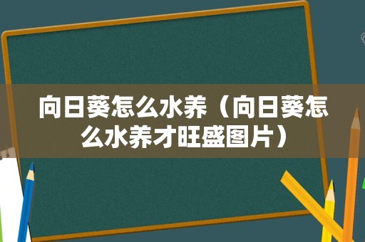 向日葵怎么水养（向日葵怎么水养才旺盛图片）