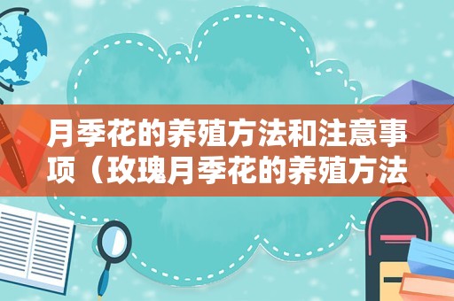 月季花的养殖方法和注意事项（玫瑰月季花的养殖方法和注意事项）