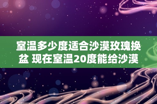 室温多少度适合沙漠玫瑰换盆 现在室温20度能给沙漠玫瑰换盆吗