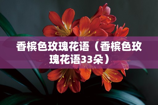 香槟色玫瑰花语（香槟色玫瑰花语33朵）