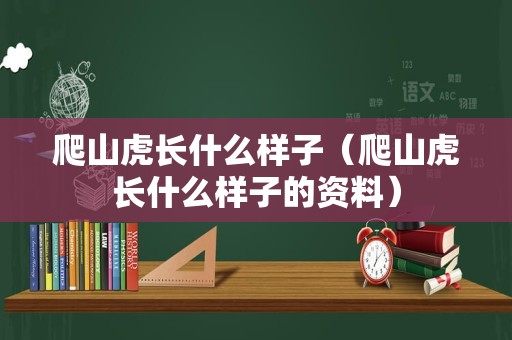 爬山虎长什么样子（爬山虎长什么样子的资料）