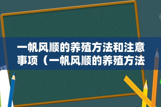 一帆风顺的养殖方法和注意事项（一帆风顺的养殖方法和注意事项 盆栽）