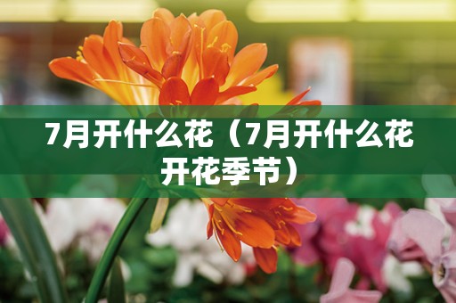 7月开什么花（7月开什么花开花季节）